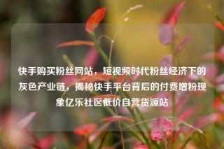 快手购买粉丝网站，短视频时代粉丝经济下的灰色产业链，揭秘快手平台背后的付费增粉现象亿乐社区低价自营货源站