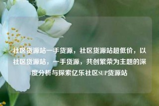 社区货源站一手货源，社区货源站超低价，以社区货源站，一手货源，共创繁荣为主题的深度分析与探索亿乐社区SUP货源站