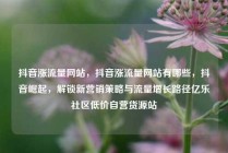 抖音涨流量网站，抖音涨流量网站有哪些，抖音崛起，解锁新营销策略与流量增长路径亿乐社区低价自营货源站