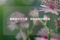 美股吸引力下降：风险溢价持续过低