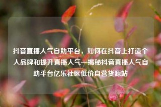 抖音直播人气自助平台，如何在抖音上打造个人品牌和提升直播人气—揭秘抖音直播人气自助平台亿乐社区低价自营货源站