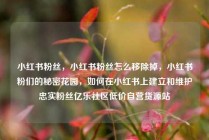 小红书粉丝，小红书粉丝怎么移除掉，小红书粉们的秘密花园，如何在小红书上建立和维护忠实粉丝亿乐社区低价自营货源站