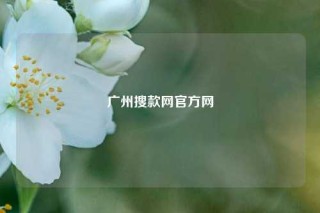广州搜款网官方网
