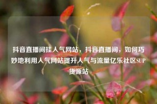 抖音直播间挂人气网站，抖音直播间，如何巧妙地利用人气网站提升人气与流量亿乐社区SUP货源站