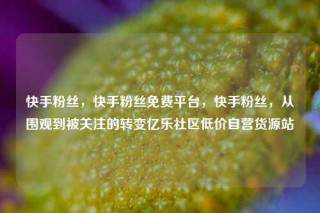 快手粉丝，快手粉丝免费平台，快手粉丝，从围观到被关注的转变亿乐社区低价自营货源站