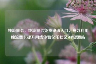 纯流量卡，纯流量卡免费申请入口，高效利用纯流量卡提升网络体验亿乐社区SUP货源站