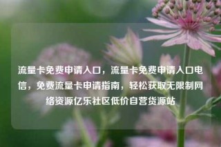 流量卡免费申请入口，流量卡免费申请入口电信，免费流量卡申请指南，轻松获取无限制网络资源亿乐社区低价自营货源站
