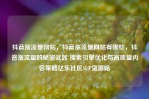 抖音涨流量网站，抖音涨流量网站有哪些，抖音涨流量的秘密武器 搜索引擎优化与高质量内容策略亿乐社区SUP货源站