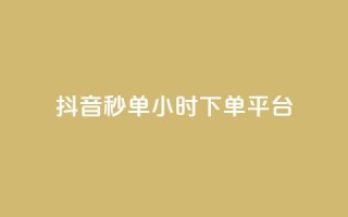 抖音秒单24小时下单平台 - 抖音快速下单服务全天候在线平台。