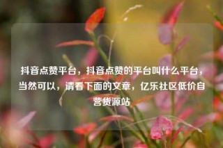 抖音点赞平台，抖音点赞的平台叫什么平台，当然可以，请看下面的文章，亿乐社区低价自营货源站
