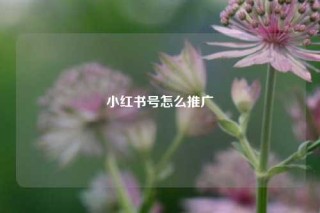 小红书号怎么推广