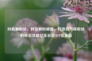 抖音刷粉丝，抖音刷粉秘籍，打造百万级粉丝的秘密攻略亿乐社区SUP货源站