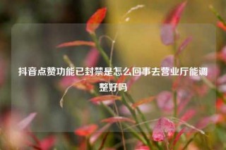 抖音点赞功能已封禁是怎么回事去营业厅能调整好吗