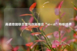 高德地图联合雷鸟创新推出“AI+AR”导航技术 
