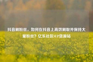 抖音刷粉丝，如何在抖音上高效刷取并保持大量粉丝？亿乐社区SUP货源站