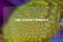 卡盟24小时自助下单网红笔记