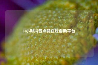 24小时抖音点赞在线自助平台
