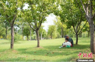 “马鞍山长江保护日”的绿色承诺与行动