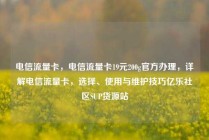 电信流量卡，电信流量卡19元200g官方办理，详解电信流量卡，选择、使用与维护技巧亿乐社区SUP货源站