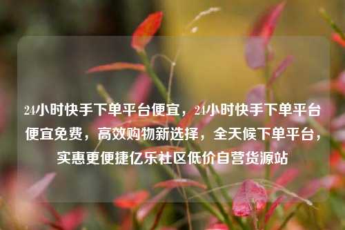 24小时快手下单平台便宜	，24小时快手下单平台便宜免费，高效购物新选择，全天候下单平台	，实惠更便捷亿乐社区低价自营货源站  第1张