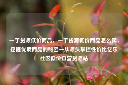 一手货源低价商品，一手货源低价商品怎么卖	，挖掘优质商品的秘密—从源头掌控性价比亿乐社区低价自营货源站  第1张