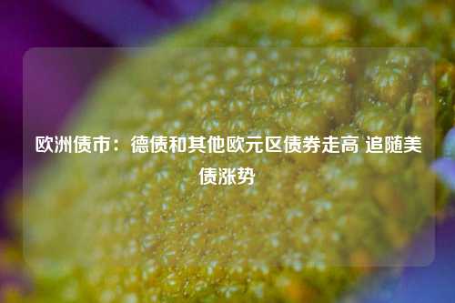 欧洲债市:德债和其他欧元区债券走高 追随美债涨势 第1张 欧洲债市:德债和其他欧元区债券走高 追随美债涨势 第1张