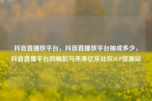 抖音直播放平台	，抖音直播放平台抽成多少，抖音直播平台的崛起与未来亿乐社区SUP货源站  第1张