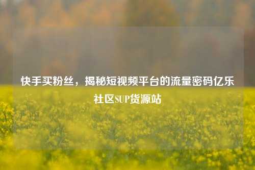 快手买粉丝，揭秘短视频平台的流量密码亿乐社区SUP货源站  第1张