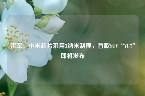 雷军：小米芯片采用3纳米制程，首款SUV“YU7”即将发布  第1张