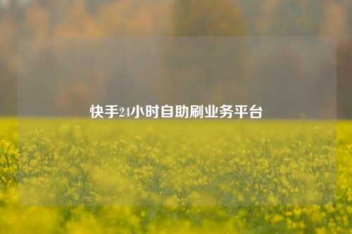 快手24小时自助刷业务平台  第1张
