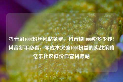 抖音刷1000粉丝网站免费	，抖音刷1000粉多少钱?抖音新手必看，零成本突破1000粉丝的实战策略亿乐社区低价自营货源站  第1张
